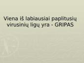 Gripo liga 3 puslapis