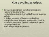 Gripo liga 5 puslapis