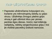 Gripo liga 6 puslapis