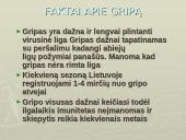Gripo liga 8 puslapis
