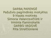 Gripo liga 9 puslapis