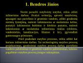 Inžinerinis statybos procesų ruošimas 2 puslapis