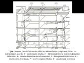 Inžinerinis statybos procesų ruošimas 15 puslapis