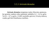 Inžinerinis statybos procesų ruošimas 10 puslapis
