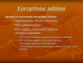 Ispanijos ekonomika 7 puslapis