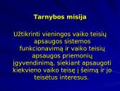 Įvaikinimo problemos 14 puslapis