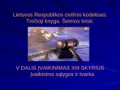 Įvaikinimo problemos 16 puslapis