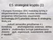 Kaip vadinsime lietuviškai "Knowledge", "WWW", "Grid" technologijas, jų derinius ir išvestinius terminus? 3 puslapis