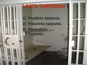 Kalėjimo įnamiai 13 puslapis