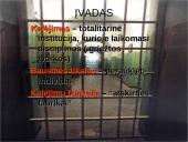 Kalėjimo įnamiai 3 puslapis