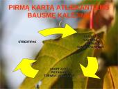 Kalėjimo įnamiai 9 puslapis