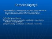 Karboksirūgštys 2 puslapis