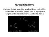 Karboksirūgštys ir viskas apie juos 2 puslapis