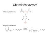 Karboksirūgštys ir viskas apie juos 13 puslapis