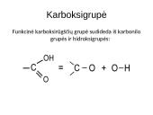 Karboksirūgštys ir viskas apie juos 4 puslapis