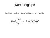 Karboksirūgštys ir viskas apie juos 5 puslapis