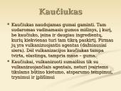 Kaučiukas ir jo panaudojimas 2 puslapis
