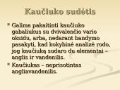 Kaučiukas ir jo panaudojimas 13 puslapis
