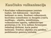 Kaučiukas ir jo panaudojimas 16 puslapis