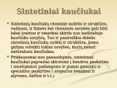 Kaučiukas ir jo panaudojimas 3 puslapis