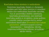 Kaučiukas, kaučiuko tipai, panaudojimas 3 puslapis