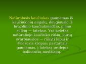 Kaučiukas, kaučiuko tipai, panaudojimas 5 puslapis