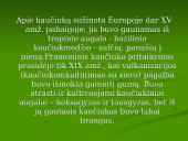 Kaučiukas, kaučiuko tipai, panaudojimas 6 puslapis