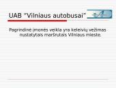 Keleivių vežimo kelių transportu įmonės 3 puslapis