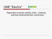 Keleivių vežimo kelių transportu įmonės 7 puslapis
