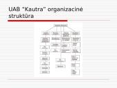 Keleivių vežimo kelių transportu įmonės 8 puslapis