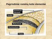 Viskas apie kelius 14 puslapis