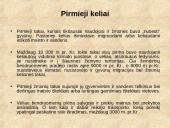 Viskas apie kelius 4 puslapis