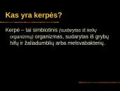 Kerpės skaidrės 2 puslapis