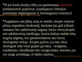 Kerpės skaidrės 16 puslapis