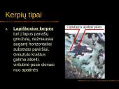 Kerpės skaidrės 7 puslapis