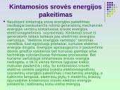 Kintamoji srovė 8 puslapis