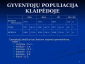 Klaipėdos ekonominės plėtros galimybės 12 puslapis