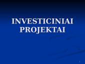 Klaipėdos ekonominės plėtros galimybės 13 puslapis