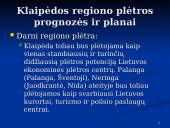 Klaipėdos ekonominės plėtros galimybės 3 puslapis