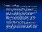 Klaipėdos ekonominės plėtros galimybės 4 puslapis