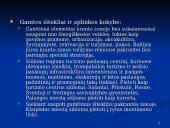 Klaipėdos ekonominės plėtros galimybės 5 puslapis