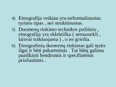 Kokybinių sociologinių tyrimų ypatumai ir planas. Kokybinių tyrimų strategijos 19 puslapis