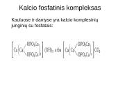 Kompleksiniai junginiai 18 puslapis