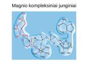 Kompleksiniai junginiai 19 puslapis