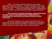 Kubizmo judėjimas 4 puslapis