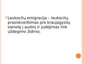 Leukocitų emigracija 2 puslapis