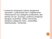 Leukocitų emigracija 12 puslapis