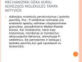 Leukocitų emigracija 5 puslapis
