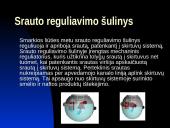 Lietaus kanalizacijos naftos atskirtuvai 12 puslapis