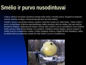 Lietaus kanalizacijos naftos atskirtuvai 13 puslapis